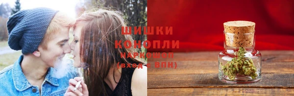 дживик Гусиноозёрск