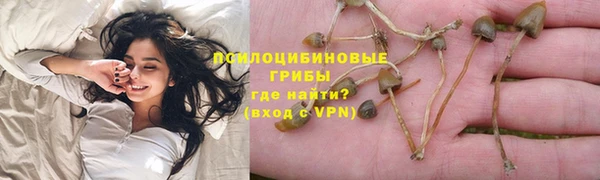дживик Гусиноозёрск